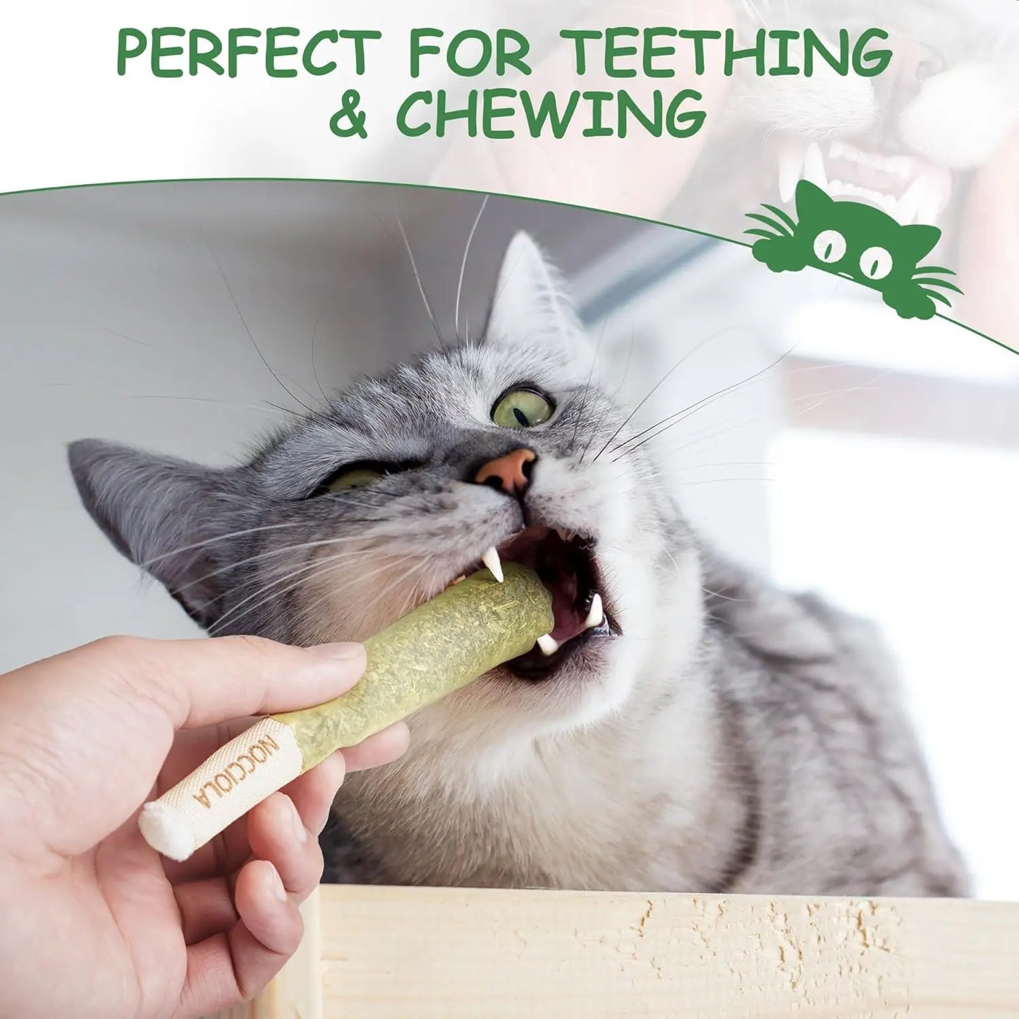 Nocciola 3 Pack Purr-Re-Roll Cat Toy Set #Summervibes #Petlovers, 100% Premium Cat Herb Filling, Natural Stimulation for Cats, Safe Teething & Kicker Toys, Perfect for Kittens