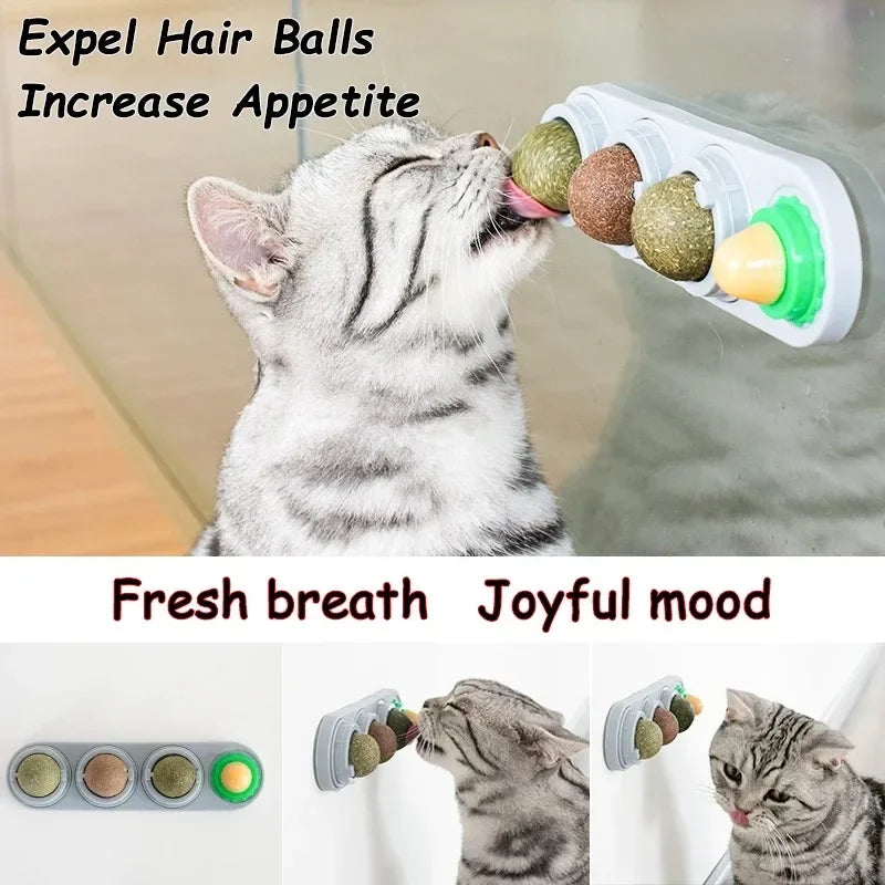 Juguete Catnip Giratorio para Gatos — Limpieza de Dientes y Digestión