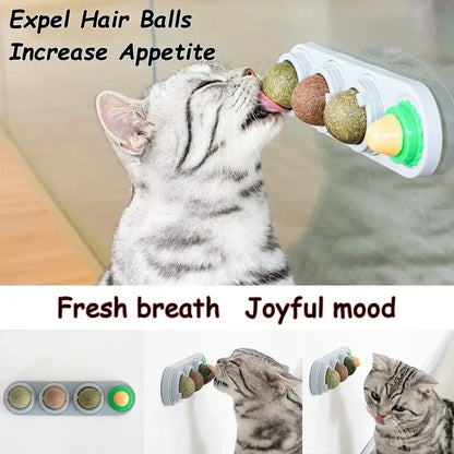 Juguete Catnip Giratorio para Gatos — Limpieza de Dientes y Digestión