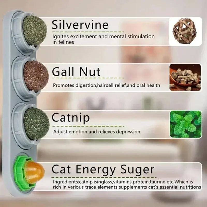 Juguete Catnip Giratorio para Gatos — Limpieza de Dientes y Digestión