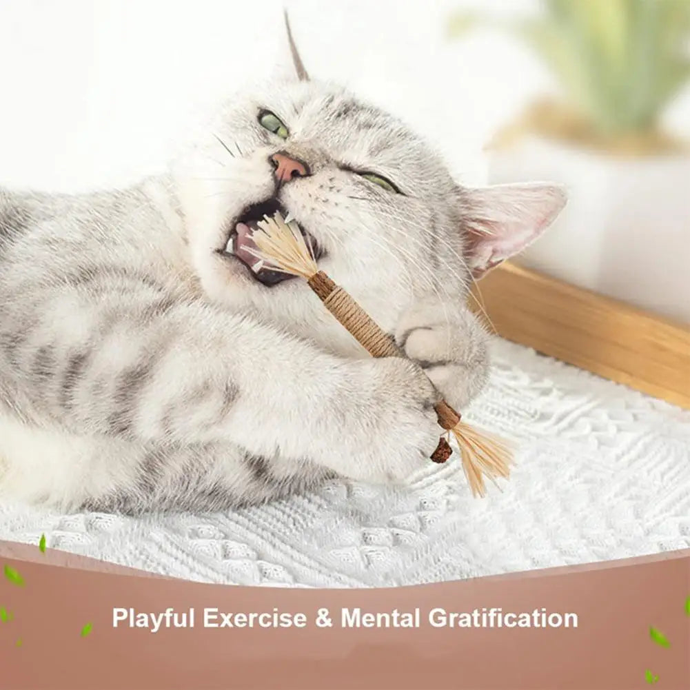 Varilla de Vid con Hierba Gatera para Gatos — Limpieza Dental Natural