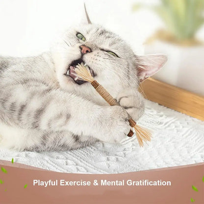Varilla de Vid con Hierba Gatera para Gatos — Limpieza Dental Natural
