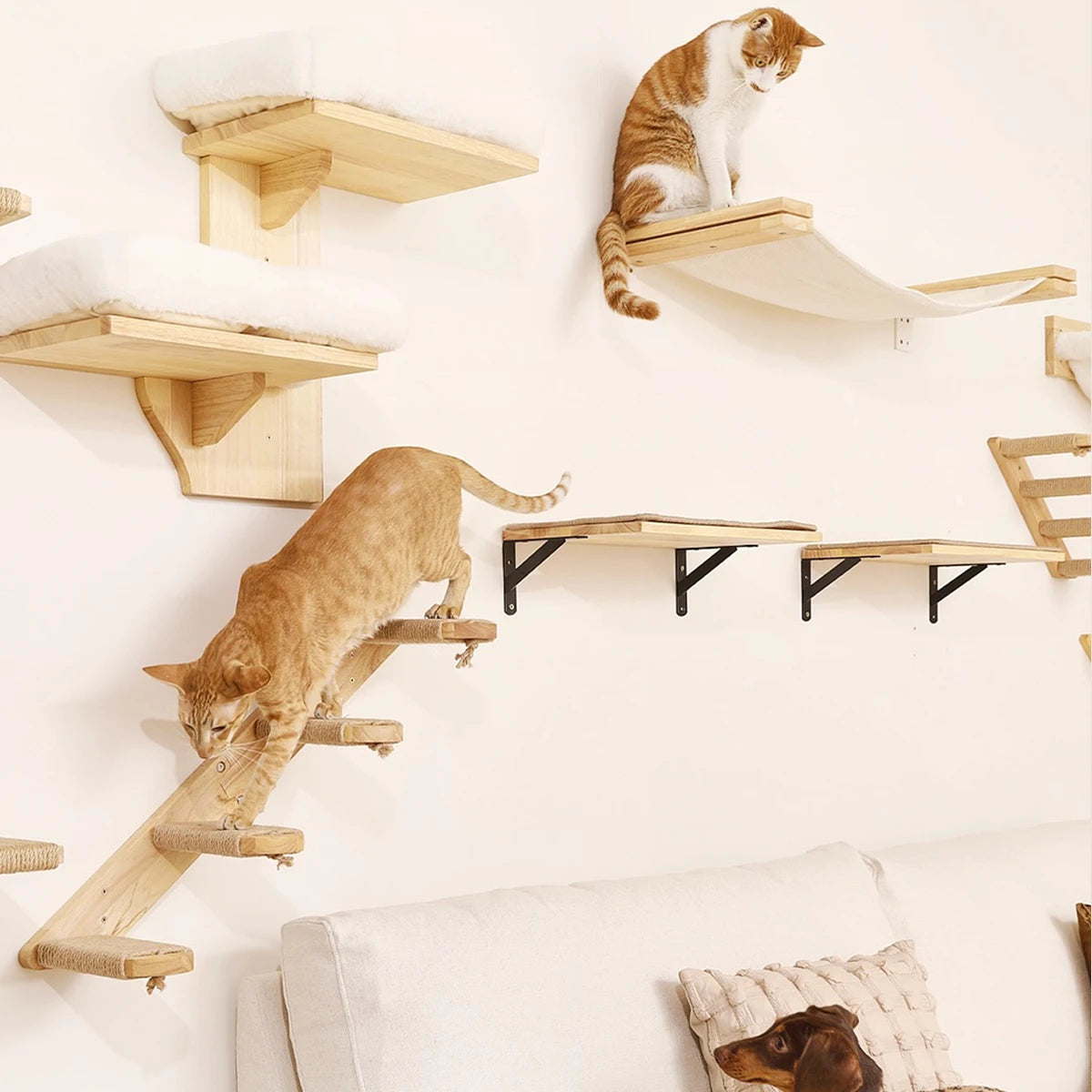 Hamaca y Estantería Mural para Gatos — Ahorra Espacio en Casa