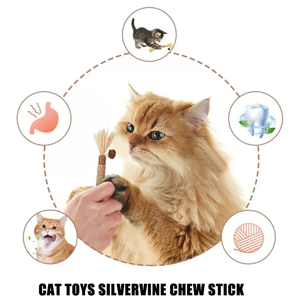 Varilla de Vid con Hierba Gatera para Gatos — Limpieza Dental Natural