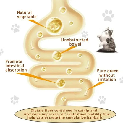 Juguete Catnip Giratorio para Gatos — Limpieza de Dientes y Digestión