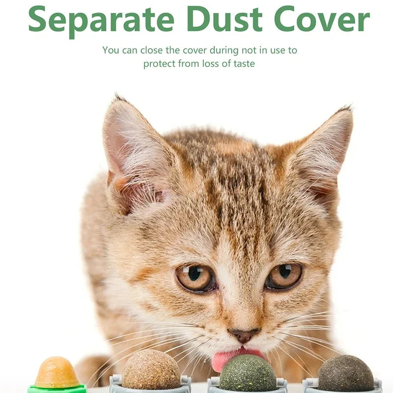 Juguete Catnip Giratorio para Gatos — Limpieza de Dientes y Digestión