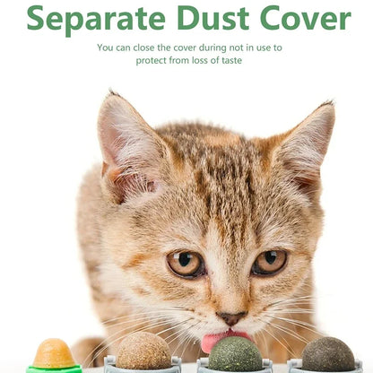 Juguete Catnip Giratorio para Gatos — Limpieza de Dientes y Digestión