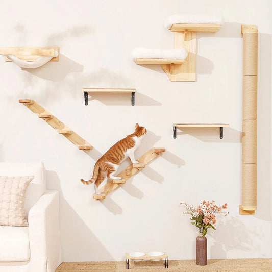 Hamaca y Estantería Mural para Gatos — Ahorra Espacio en Casa