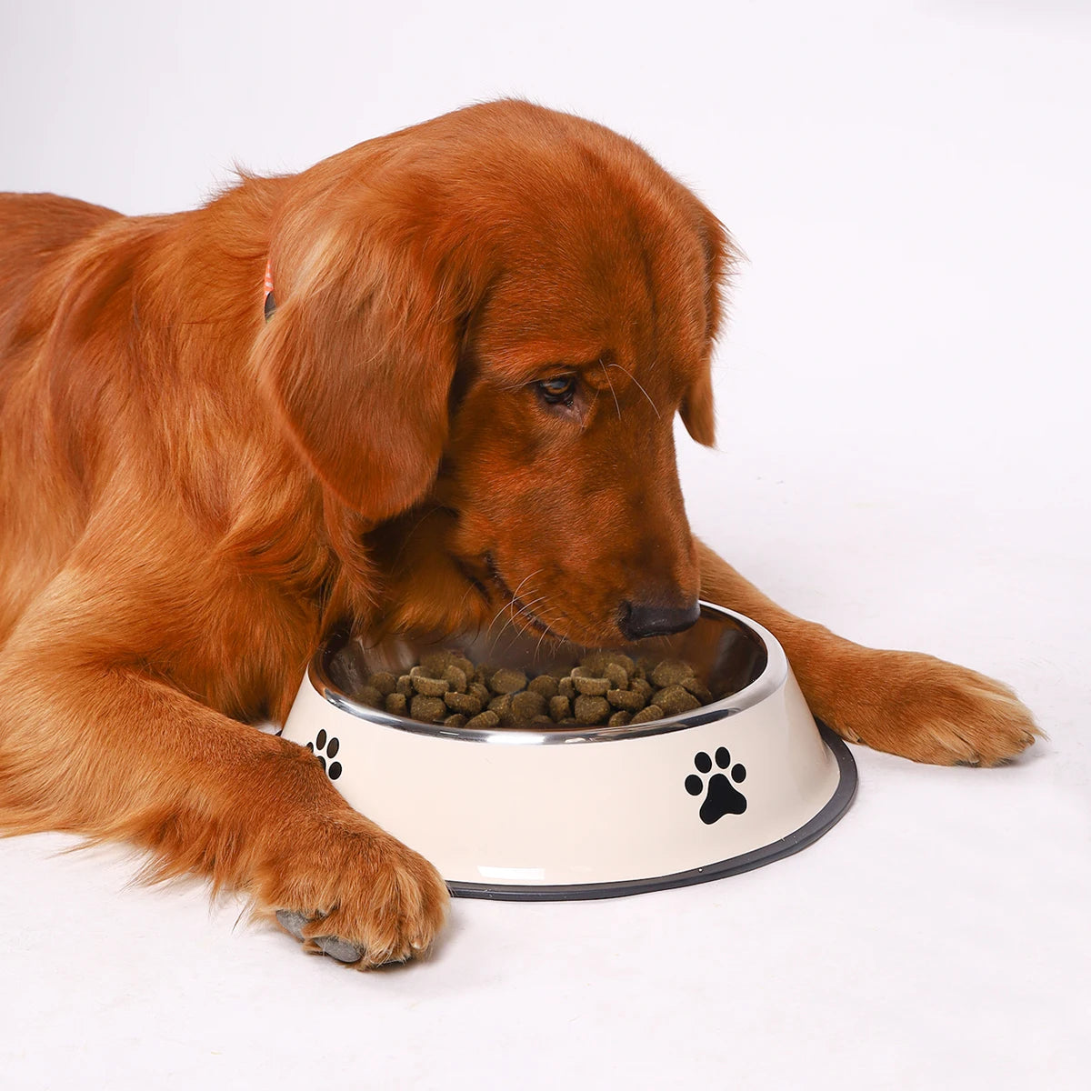 Comedero De Acero Inoxidable Para Perros Y Gatos Antideslizante