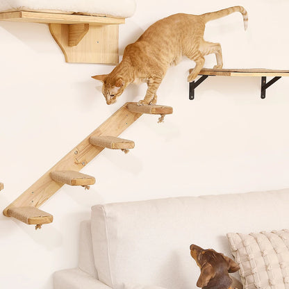 Hamaca y Estantería Mural para Gatos — Ahorra Espacio en Casa