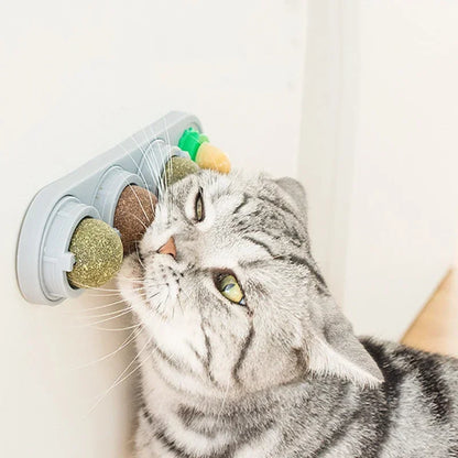 Juguete Catnip Giratorio para Gatos — Limpieza de Dientes y Digestión
