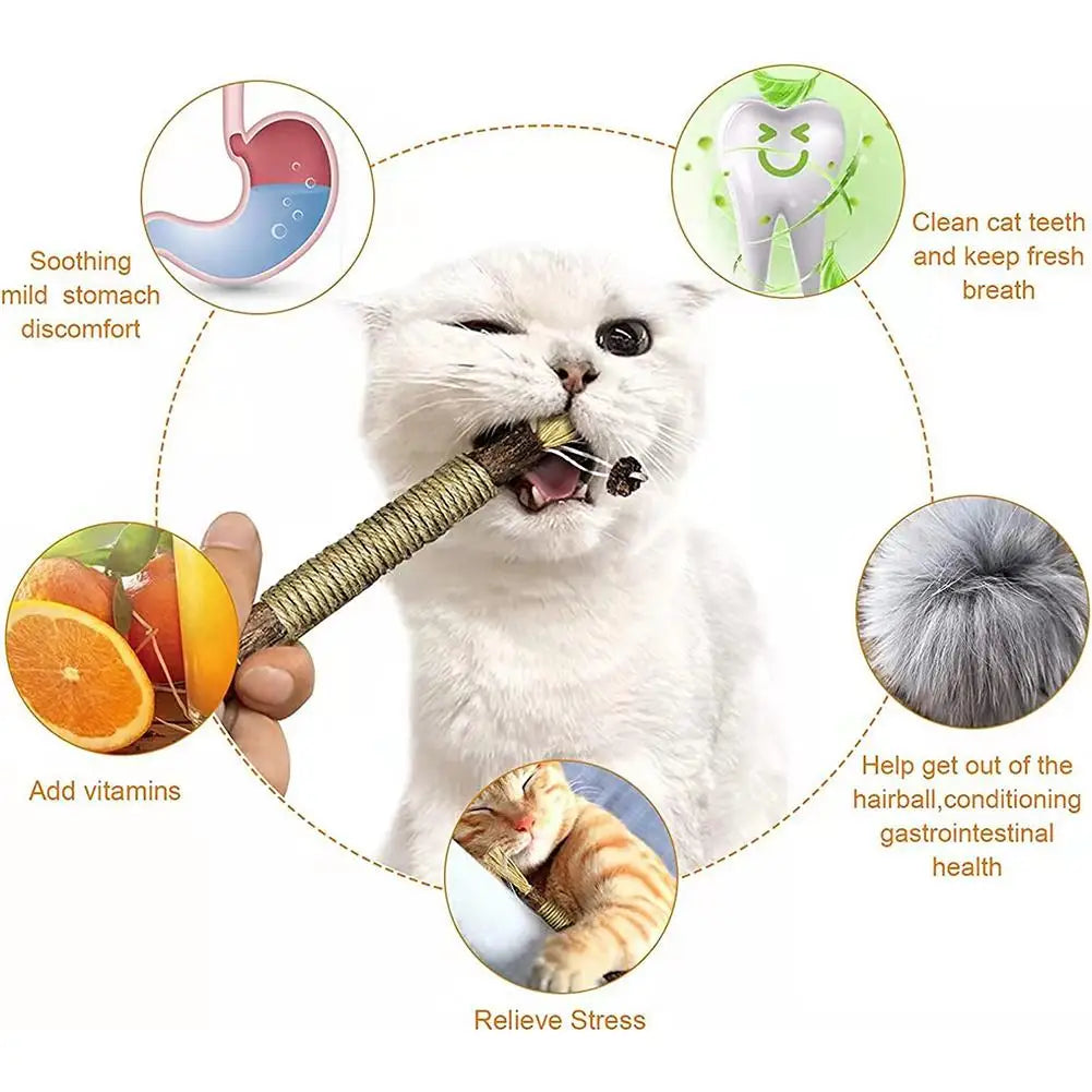 Varilla de Vid con Hierba Gatera para Gatos — Limpieza Dental Natural