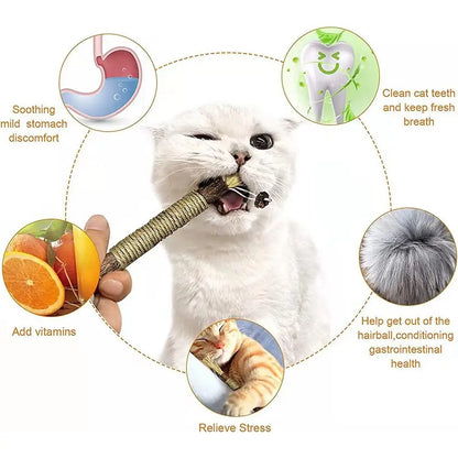 Varilla de Vid con Hierba Gatera para Gatos — Limpieza Dental Natural
