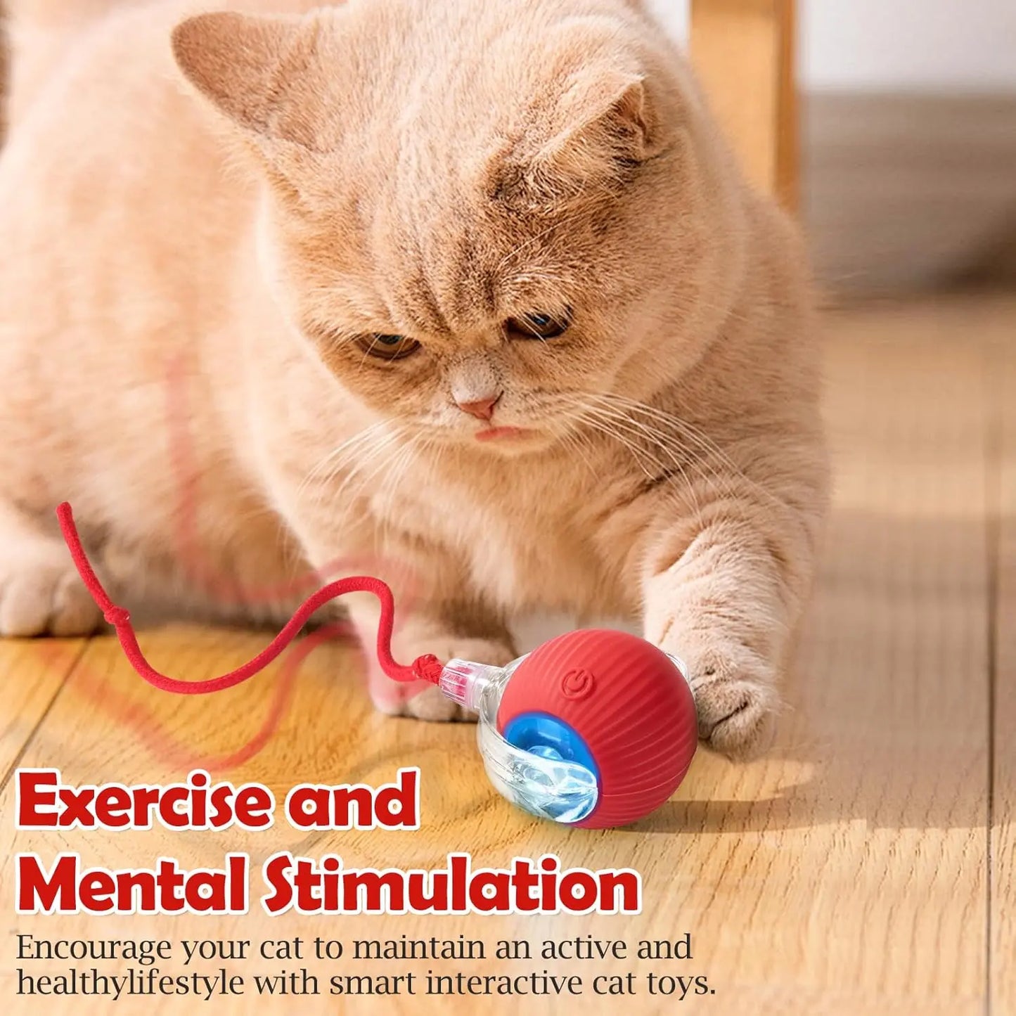 Interactive Cat Toy Ball: Automatically Rolling Electric Ball, Suitable for Indoor Cats/Dogs, Brings the Fun of Chasing Tails. Motion Sensing, Keeps Pets Busy and Enjoys Rich Sports Stimulation. Great Pet Gifts/Supplies.