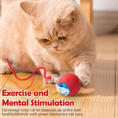 Interactive Cat Toy Ball: Automatically Rolling Electric Ball, Suitable for Indoor Cats/Dogs, Brings the Fun of Chasing Tails. Motion Sensing, Keeps Pets Busy and Enjoys Rich Sports Stimulation. Great Pet Gifts/Supplies.